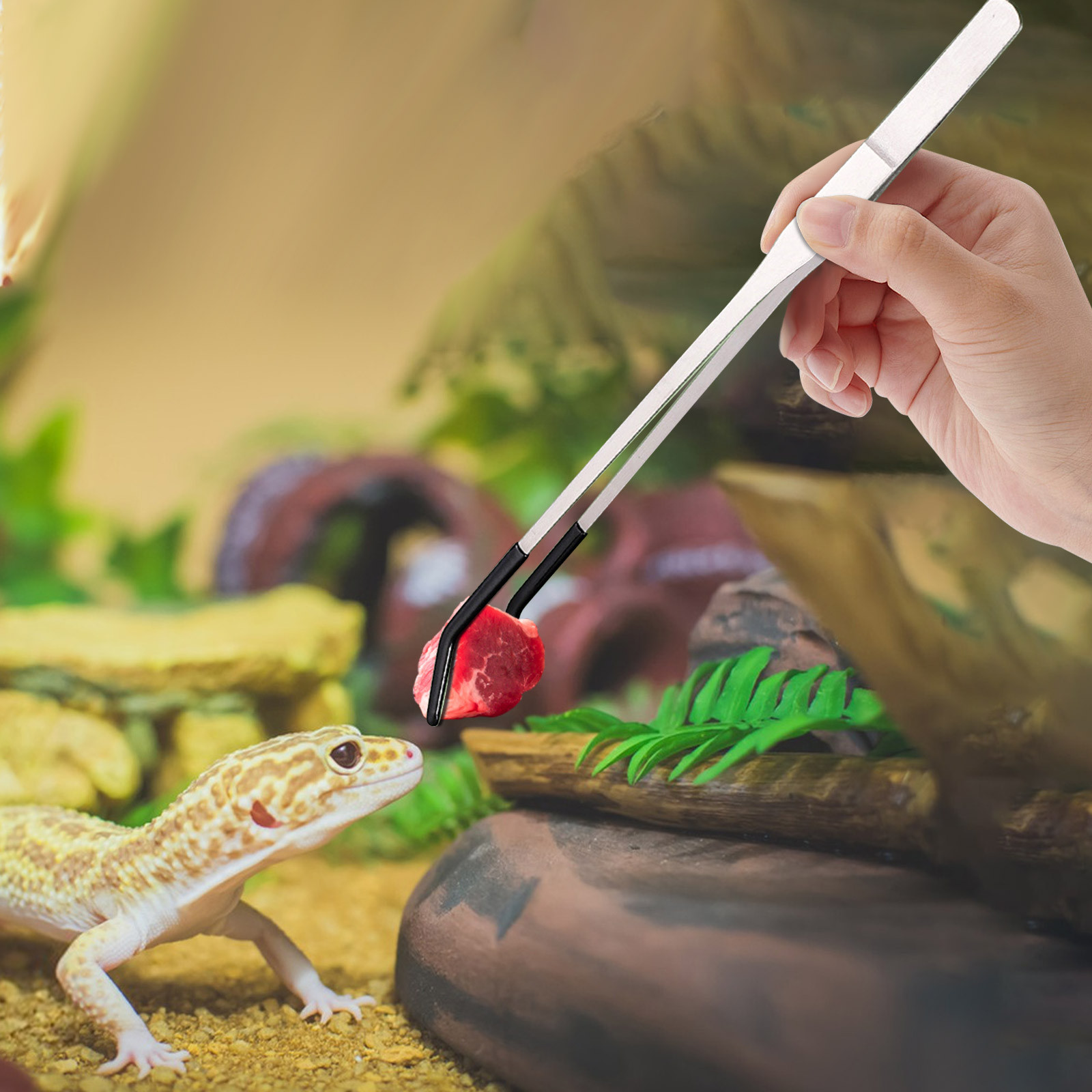 Water Dish Reptile - Lange Zange zum Füttern von Reptilien