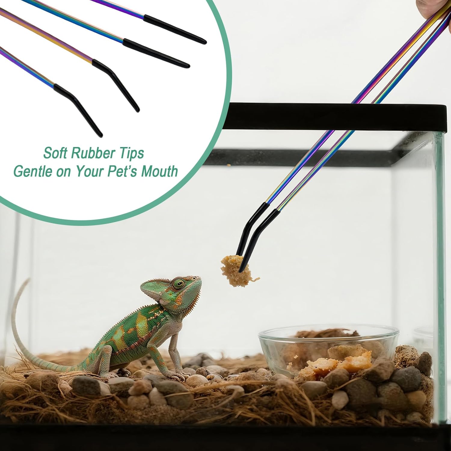 2 Stück Edelstahl-Reptilienfut – Feeding Tong Stainless Bewertung und Preis