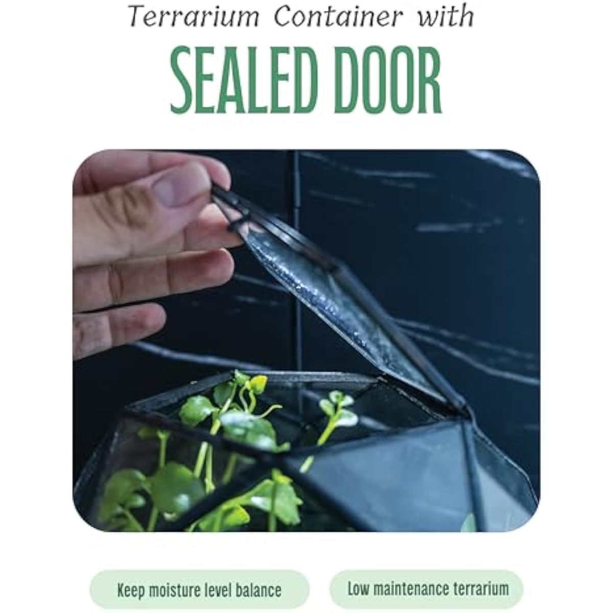 Geometrisches Kugel-Terrarium  – Glass Door Hinge Bewertung und Preis