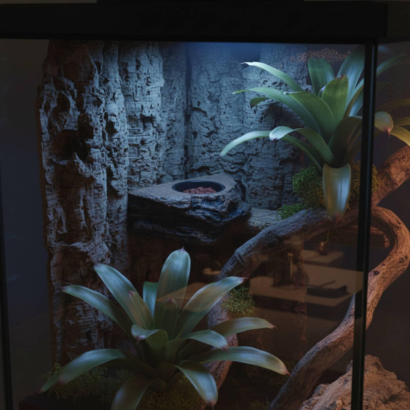 Gecko-Futter- und Wasserregal  – Water Dish Reptile Bewertung und Preis