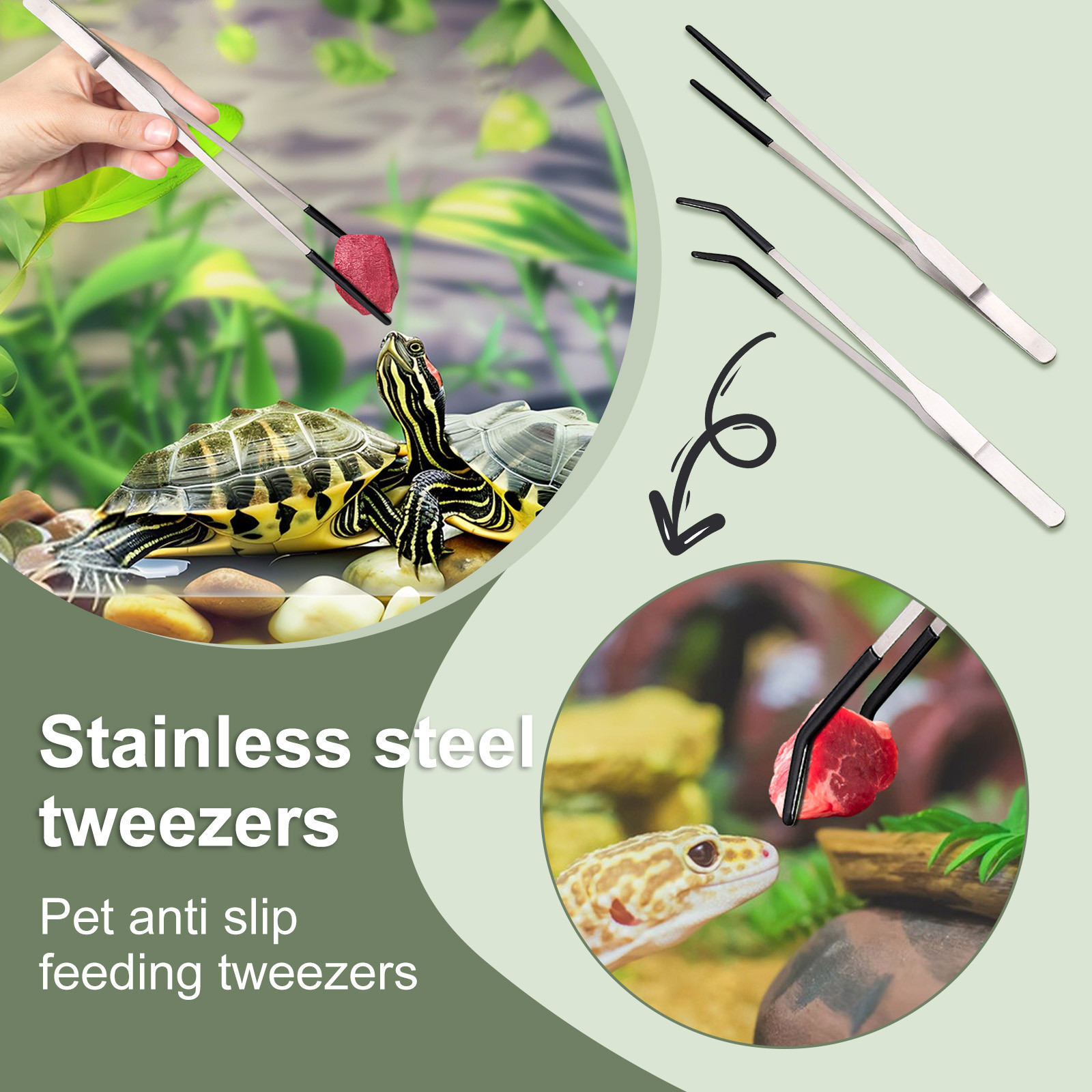Lange Zange zum Füttern von Re – Water Dish Reptile Bewertung und Preis