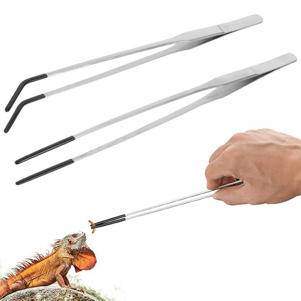 2 Stück Edelstahl-Aquarium-Füt – Feeding Tong Stainless Bewertung und Preis
