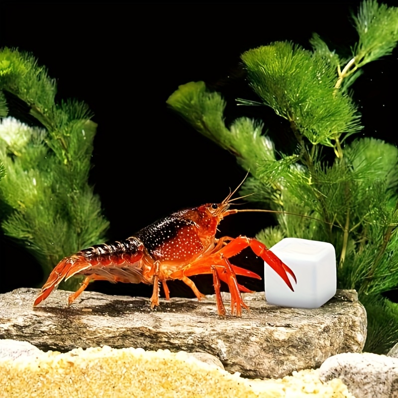 6-teiliger Aquarium-Kalziumblo – Calcium Powder Reptile Bewertung und Preis